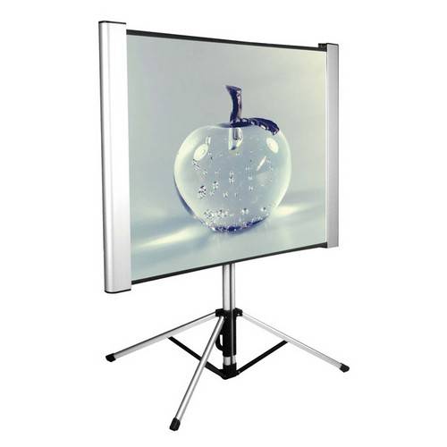 Экран Cactus CS-PSTALE-180X102 / 16:9, 180x102 см, напольный, штатив, Matte White, Global