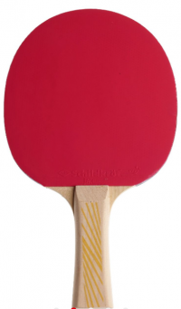 Donic Ракетка LEGENDS 150 рассчитана на тип игры Control/ накладка Jade/ без губки