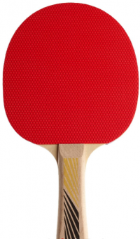 Donic Ракетка LEGENDS 200 рассчитана на тип игры Control/ накладка Pimple-out/ толщина губки 1 мм