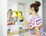 Karcher WV 6 Plus *EU Стеклоочиститель