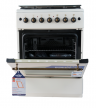 Комбинированная Газовая плита Reex CGEW-631F ectRBe  | 3 газовые конфорки, 1 электрическая | Объем духовки- 64л | 60х85х60