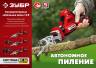 ЗУБР Аккумуляторная сабельная пила 12В, 2 АКБ (2Ач), в коробке СПЛ-125-22