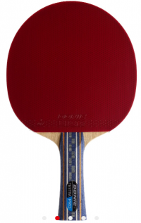 Donic Ракетка Testra PRO / Накладка  Liga rubbers / для новичков/ для опытных спортсменов/ Толщина губки 2