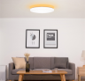 Потолочный светильник Yeelight Bright Moon LED Intelligent Ceiling Lamp 480mm YLXD05YL, JOYA