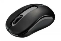 RAPOO Беспроводная мышь M10 PLUS - черный																			